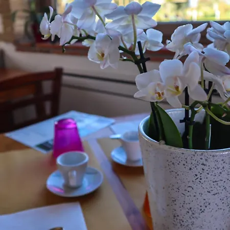 Podere Ficolivo Bed and Breakfast Πιτιλιάνο