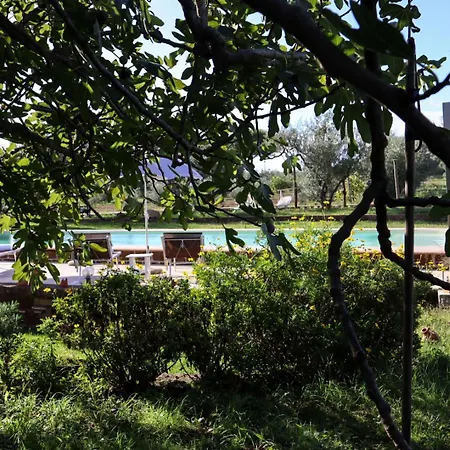 Oda ve Kahvaltı Podere Ficolivo Pitigliano