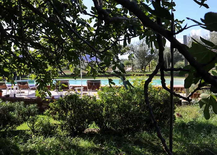Alojamento de Acomodação e Pequeno-almoço Podere Ficolivo Pitigliano